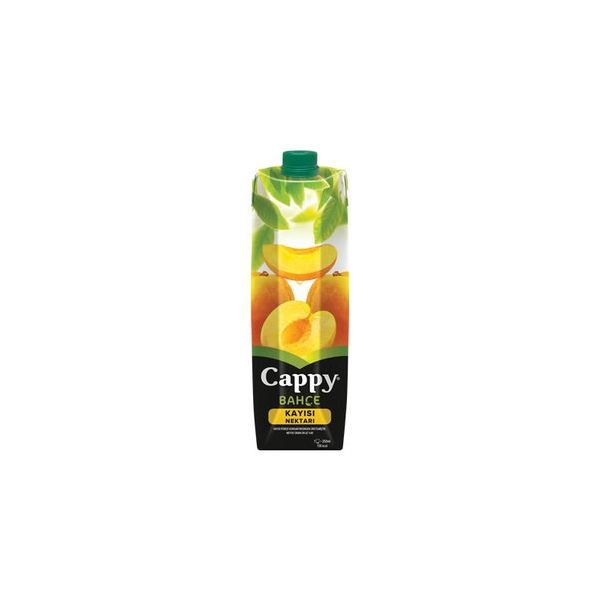 Cappy Apricot Juice 1L